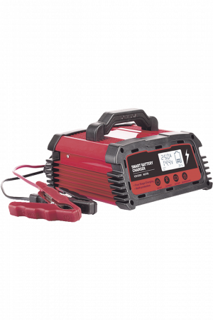 Cargador de Baterías / 12 o 24 Vcc / hasta 250 Ah / 25 A / Display LCD