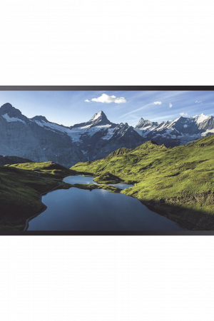 Pantalla Profesional LED 55" para Exterior con Vidrio Templado de Protección 5T, Full HD (1080p), HDMI/HDBaseT (LAN), Brillo 3500 cd/m2. Compatible VESA