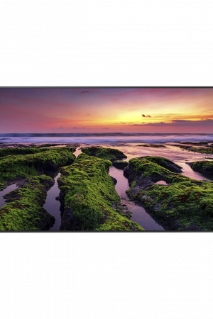 Pantalla Profesional LED de 55", UHD 4K (3840x2160p), Entradas de Video HDMI, Bocinas Integradas de 10 W. Compatible VESA