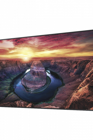 Pantalla Profesional LED de 32", FHD (1920x1080p), Entradas de Video HDMI, Bocinas Integradas de 10 W. Compatible VESA