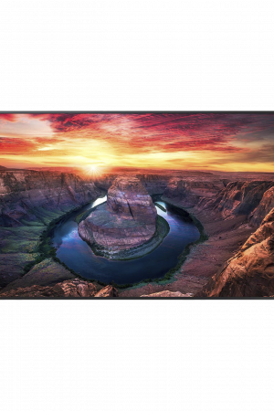 Pantalla Profesional de 85", Resolución UHD 3840X2160 PIX., Entradas de Video  DVI / HDMI / DisplayPort / HDCP, Bocinas Integradas 10W. Compatible VESA